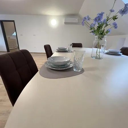 Elysian 3 - Team Trencin