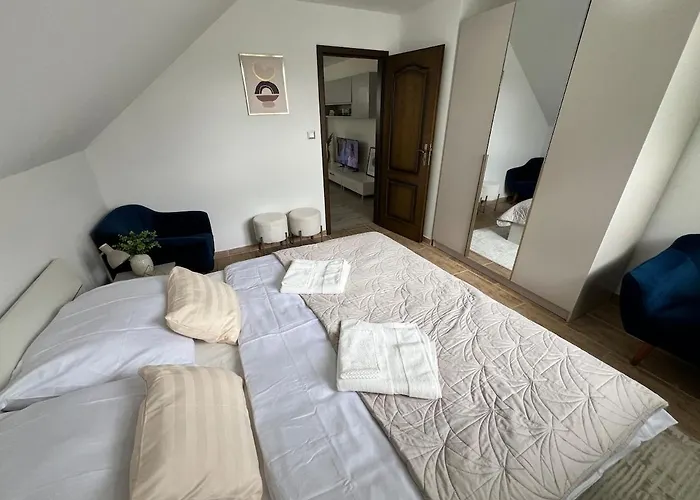 Elysian 3 - Team Trenčín