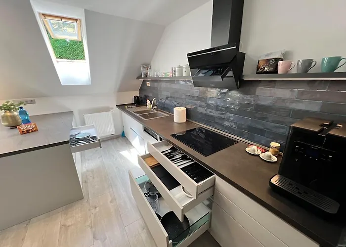 Elysian 3 - Team Lejlighed