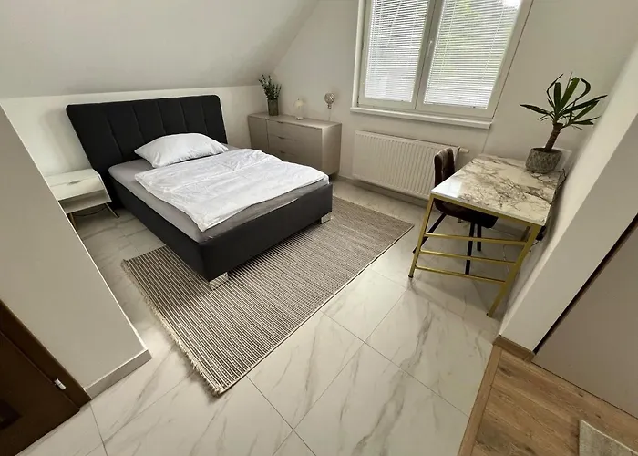 Elysian 3 - Team Trenčín