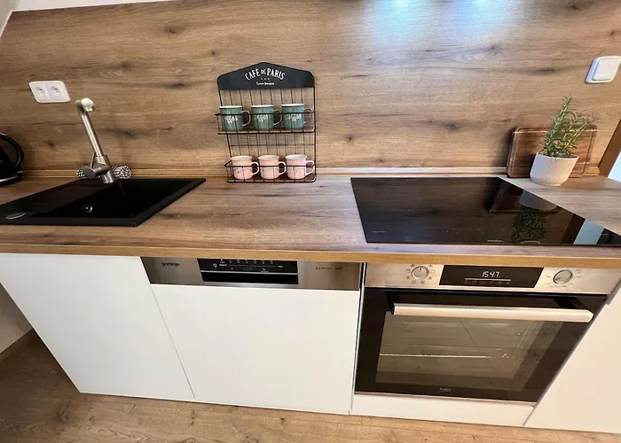 Elysian 3 - Team * Trenčín