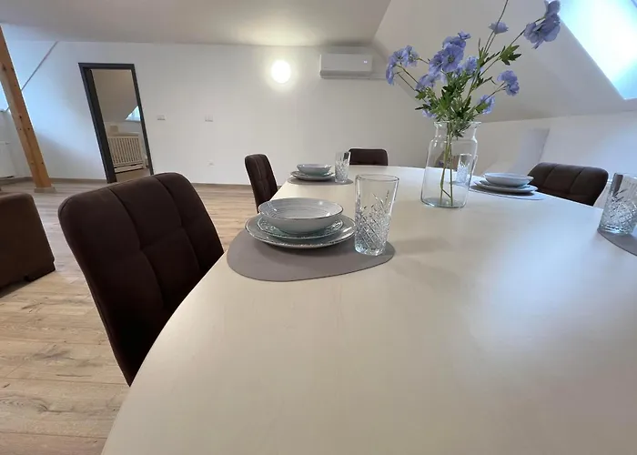 Elysian 3 - Team Trenčín